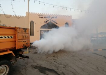 حملات مكثفة لمكافحة البعوضة الزاعجة المصرية بولاية الخابورة
