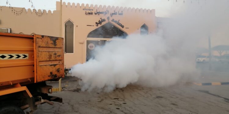 حملات مكثفة لمكافحة البعوضة الزاعجة المصرية بولاية الخابورة 1 حملات مكثفة لمكافحة البعوضة الزاعجة المصرية بولاية الخابورة