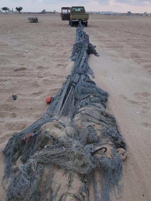 7d969d3f 358b 49ee a4d8 61b93ea4b54e