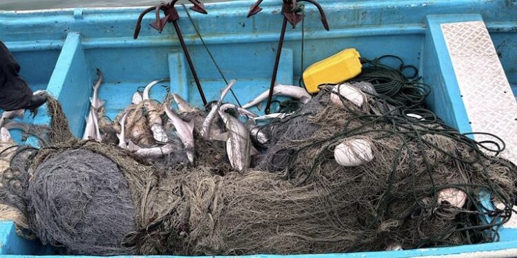 ضبط 3 وافدين يمارسون الصيد الجرفي في ظفار