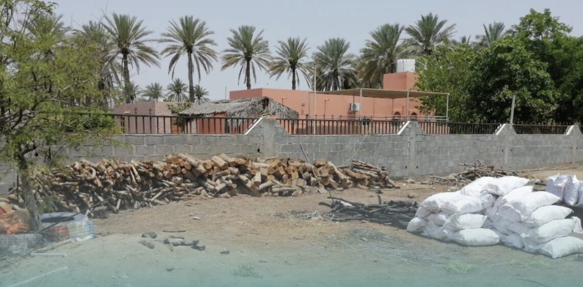 ضبط عمالة وافدة تقوم بتسخيم الفحم النباتي في بركاء 1 ضبط عمالة وافدة تقوم بتسخيم الفحم النباتي في بركاء