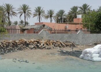 ضبط عمالة وافدة تقوم بتسخيم الفحم النباتي في بركاء