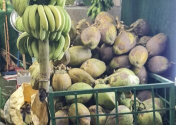 هيئة حماية المستهلك تضبط عددًا من محال بيع النارجيل في صلالة