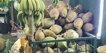 هيئة حماية المستهلك تضبط عددًا من محال بيع النارجيل في صلالة