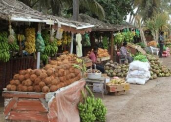 بيان توضيحي حول إغلاق بعض اكشاك جوز الهند ( النارجيل ) في صلالة