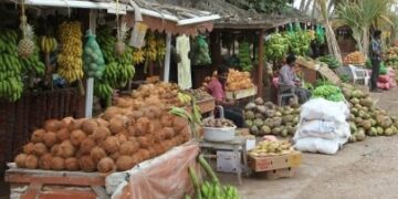 بيان توضيحي حول إغلاق بعض اكشاك جوز الهند ( النارجيل ) في صلالة