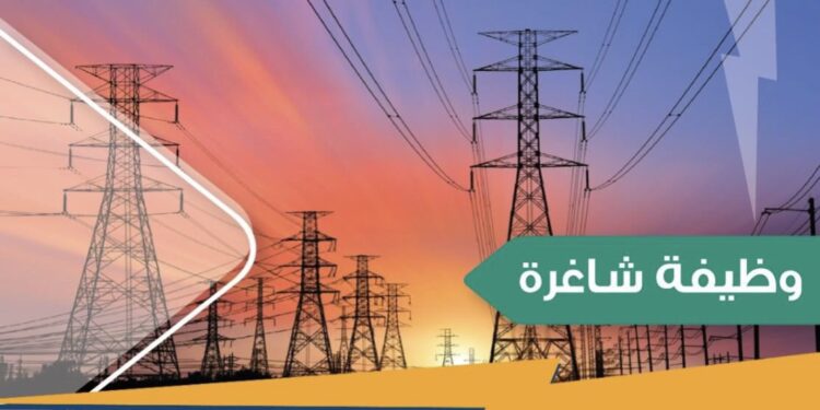 شركة الرؤية للخدمات الفضية تعلن وظيفة شاغرة