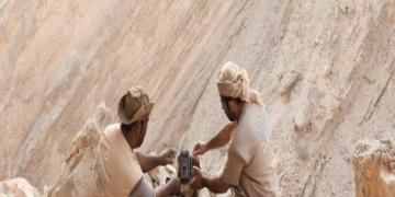 رصد الحياة الفطرية بمحافظة البريمي عبر الكاميرات الفخيّة