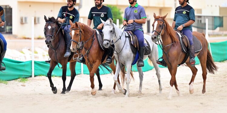 صحار الدولي راعي ماسي لسباقات الاتحاد العماني للفروسيةمسقط
