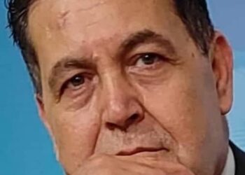 أخطار الإقامة في حجر الأفعى الأميركية