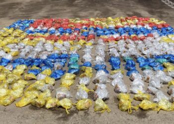 القبض على مواطن بتهمة تهريب مواد مخدرة بقصد الاتجار بها