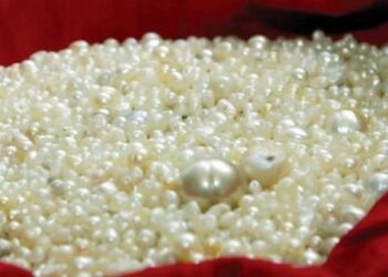 104.2 بالمائة ارتفاع في قيمة صادرات سلطنة عُمان من الحلي بنهاية 2022م