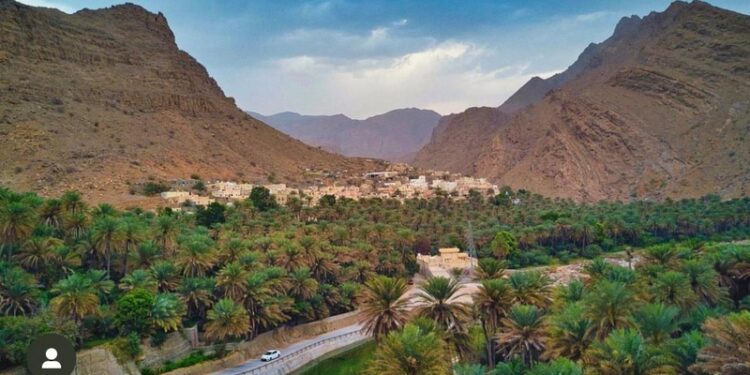 قرية بضعة الصحية على موعد لزيارة وفد رفيع المستوى من منظمة الصحة العالمية