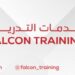 معهد فالكون لخدمات التدريب يعلن وظيفة شاغرة 8 معهد فالكون لخدمات التدريب يعلن وظيفة شاغرة