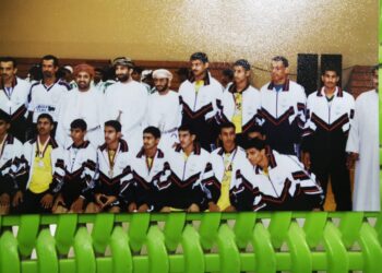 طائرة بهلا.. أين سقطت ؟