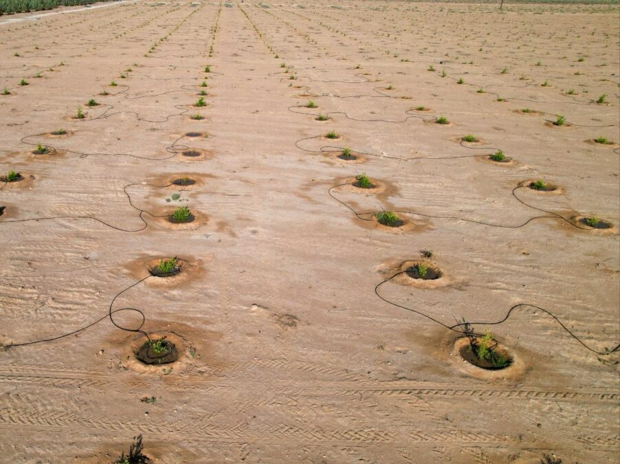 0993019e 6c99 4ae2 a936 0c8b2608f758