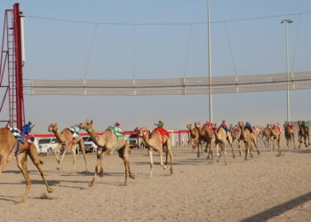 انطلاق منافسات سباق الهجن ضمن المهرجان السنوي لسباقات الهجن الأهلية بولاية أدم