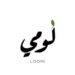 شركة لومي تعلن وظيفة شاغرة