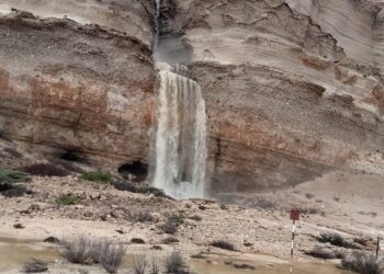 ولاية سدح تشهد أمطارًا متفاوتة الغزارة