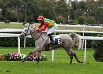 فوز الفرس فطينة للخيالة السلطانية بالمركز الأول في بوردو لوبوسكات الفرنسي