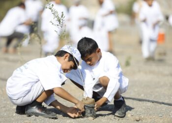 صحار ألمنيوم تعزز الاستدامة البيئية بزراعة أكثر من 10 آلاف شجرة في محافظة مسندم