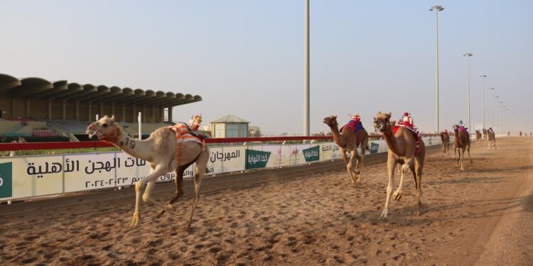 انطلاق منافسات سباق الهجن بولاية أدم 1 انطلاق منافسات سباق الهجن بولاية أدم
