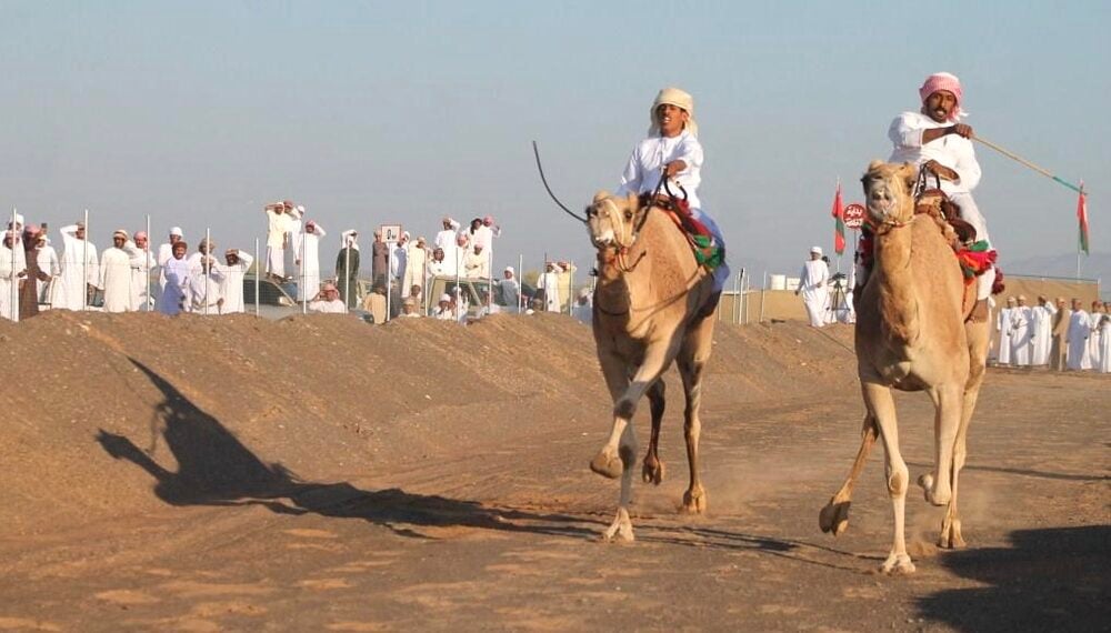 نوق “بدية” تخطف المراكز الأولى بالمحطة الثانية من مسابقة “الزمط” لتحدي الهجن العربية الأصيلة