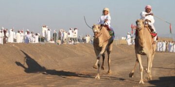 نوق “بدية” تخطف المراكز الأولى بالمحطة الثانية من مسابقة “الزمط” لتحدي الهجن العربية الأصيلة