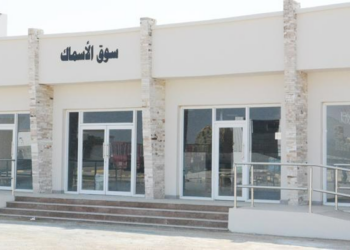 الإٍسكان والتخطيط العمراني تطرح فرص استثمارية لمشروعي سوق الأسماك بولايتي المضيبي وسناو