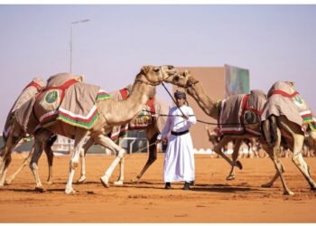 ‏إدراج الهجّانة السُّلطانية في قائمة التراث الثقافي غير المادي
