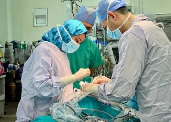 أكثر من 150 بحثًا علميًّا بالمستشفى السُّلطاني لتطوير منظومة الرعاية الصحية في سلطنة عُمان