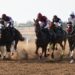 بتكليفٍ سامٍ.. سُموّ السّيد تيمور بن أسعد آل سعيد يرعى سباق الخيل السّنوي … الاثنين المُقبل