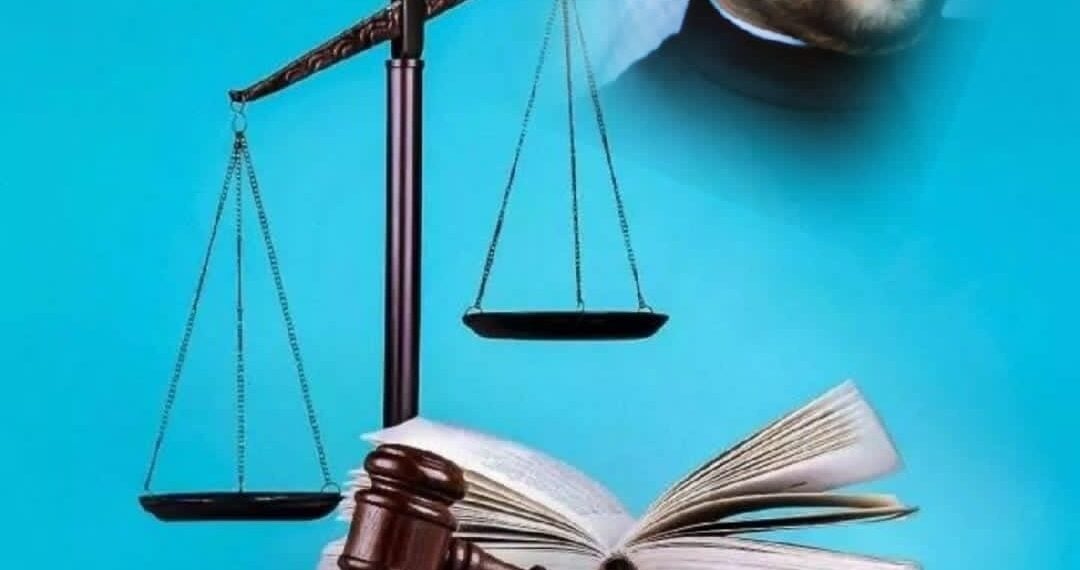 نشاطات الأمم المتحدة ووثائقها في مجال حقوق الإنسان