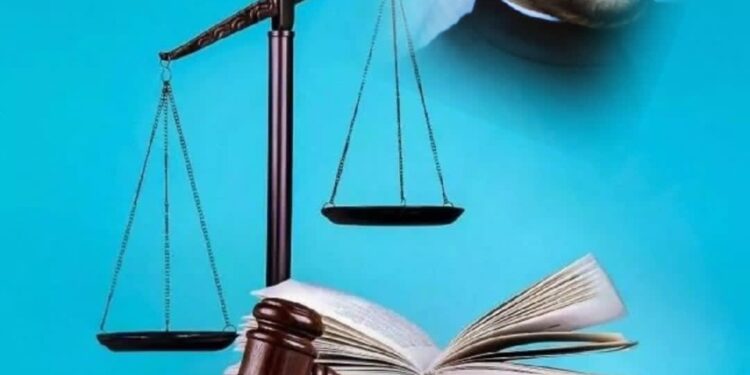 نشاطات الأمم المتحدة ووثائقها في مجال حقوق الإنسان 1 نشاطات الأمم المتحدة ووثائقها في مجال حقوق الإنسان