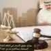 حماية حقوق الإنسان في النظم الجزائية العربية