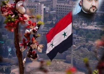 من التوتر إلى الاستقرار.. استراتيجية الخليج العربي في سوريا