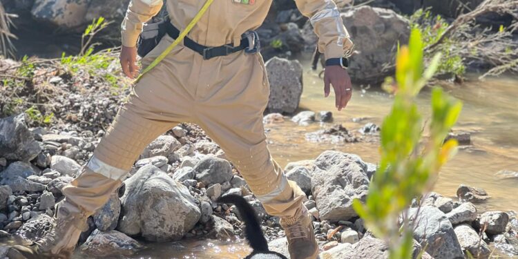 تواصل عمليات البحث عن المفقود بولاية ⁧‫الجبل الأخضر