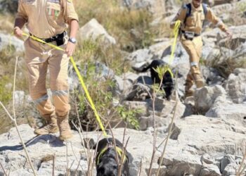 تواصل عمليات البحث و الإنقاذ عن المفقود بالجبل الأخضر