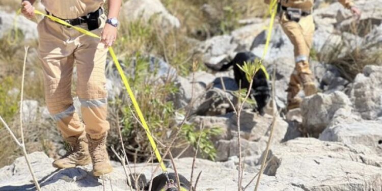 تواصل عمليات البحث و الإنقاذ عن المفقود بالجبل الأخضر