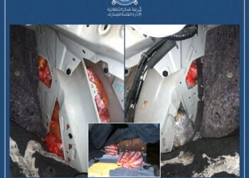 إحباط محاولة إدخال كميات من مخدر القات عبر منفذ صرفيت