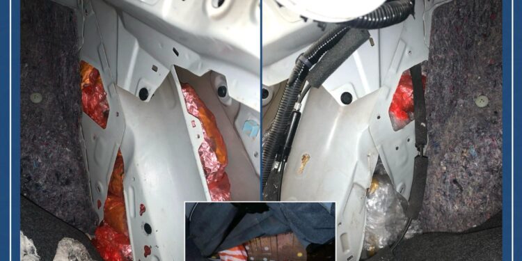 إحباط محاولة إدخال كميات من مخدر القات عبر منفذ صرفيت