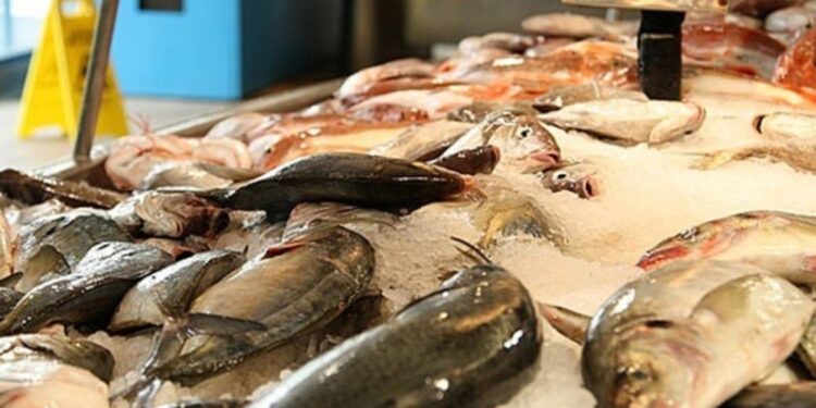 الإعلان عن حظر بعض أنواع الأسماك الحية من منطقة ترينتو الإيطالية