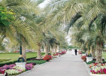 إغلاق الحدائق والمتنزهات في مسقط مؤقتًا