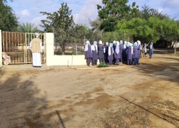 مدرسة الأفلاج للتعليم الأساسي بالمضيبي تحتفل  باليوم العالمي للأحياء البرية