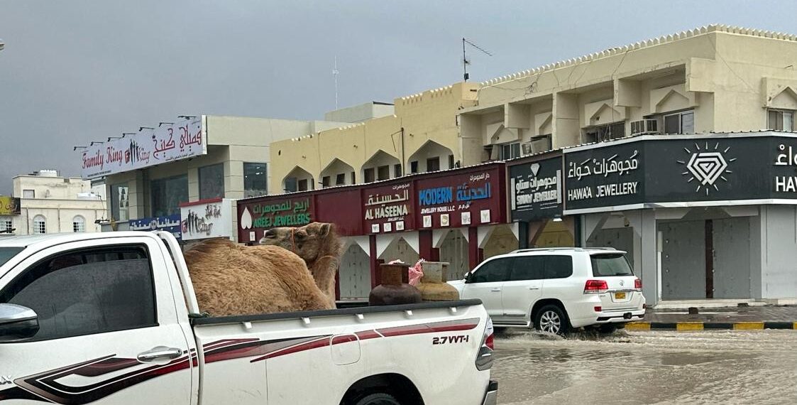 ولاية سناو تشهد أمطارا غزيرة 1 ولاية سناو تشهد أمطارا غزيرة