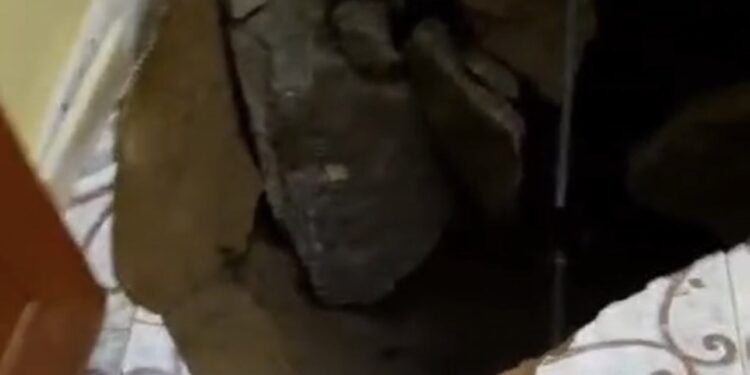 انهيار جزء من أرضية شقة بأحد المباني نتيجة الأمطار بالبريمي