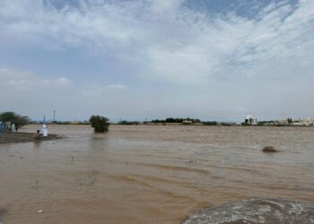 “ولاية سناو” تشهد هطول أمطار غزيرة