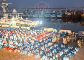 القبض على شخصين على متن قارب وبحوزتهما أكثر من 1300 رزمة من مخدر القات