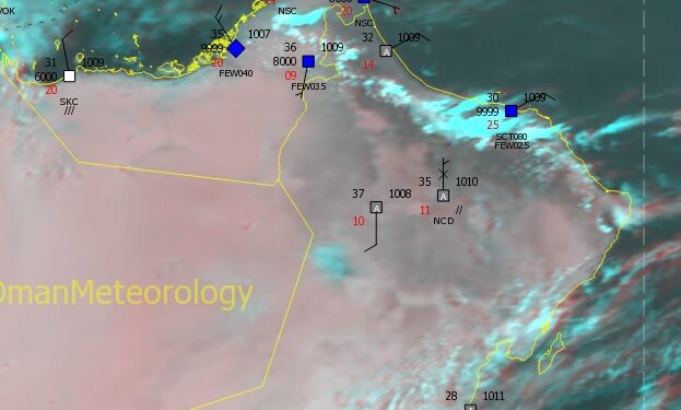 الأرصاد : نشاط سحب ركامية مصحوبة برياح هابطة نشطة على هذه المحافظات