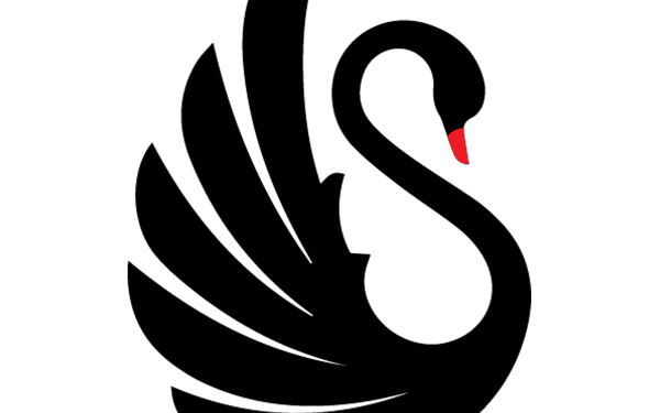 شركه البجعه السوداء تعلن وظيفة شاغرة 1 شركه البجعه السوداء تعلن وظيفة شاغرة